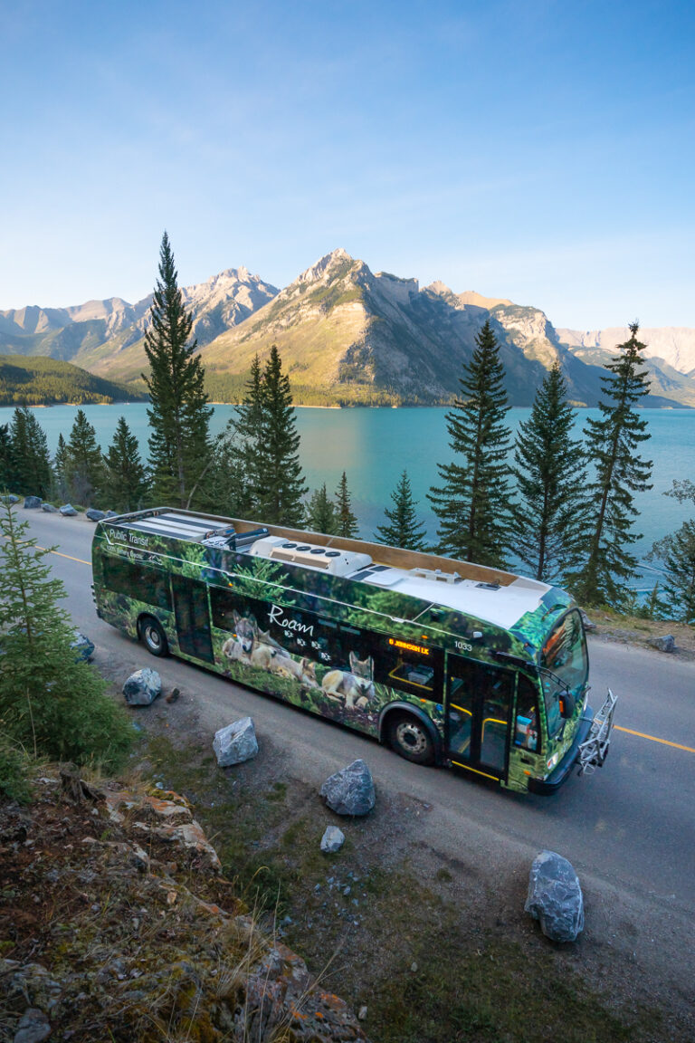 Roam-Transit-summer-2021-Nick-Fitzhardinge-Low-Res-1 (3) 