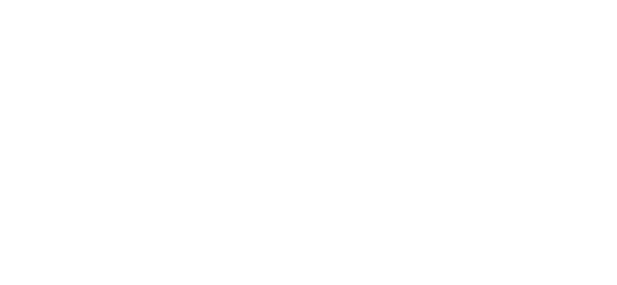 Roam Transit